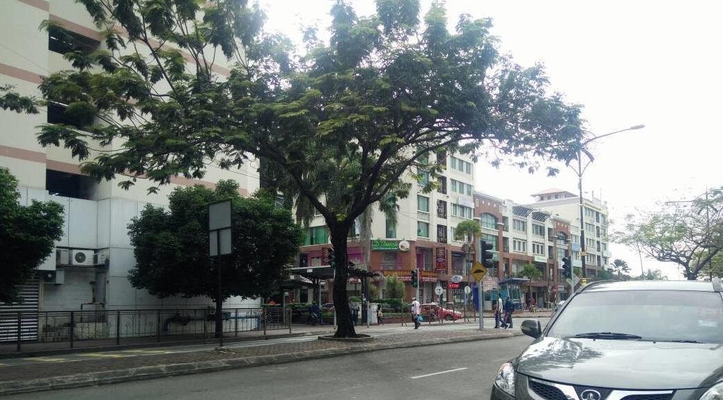 Escape Backpackers Kk Kota Kinabalu Exterior foto